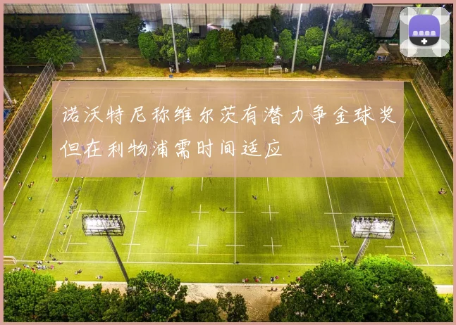 诺沃特尼称维尔茨有潜力争金球奖但在利物浦需时间适应