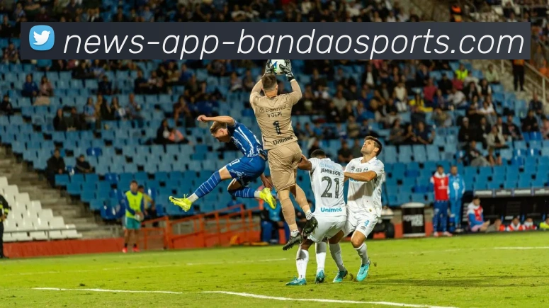 半岛体育APP 封面图